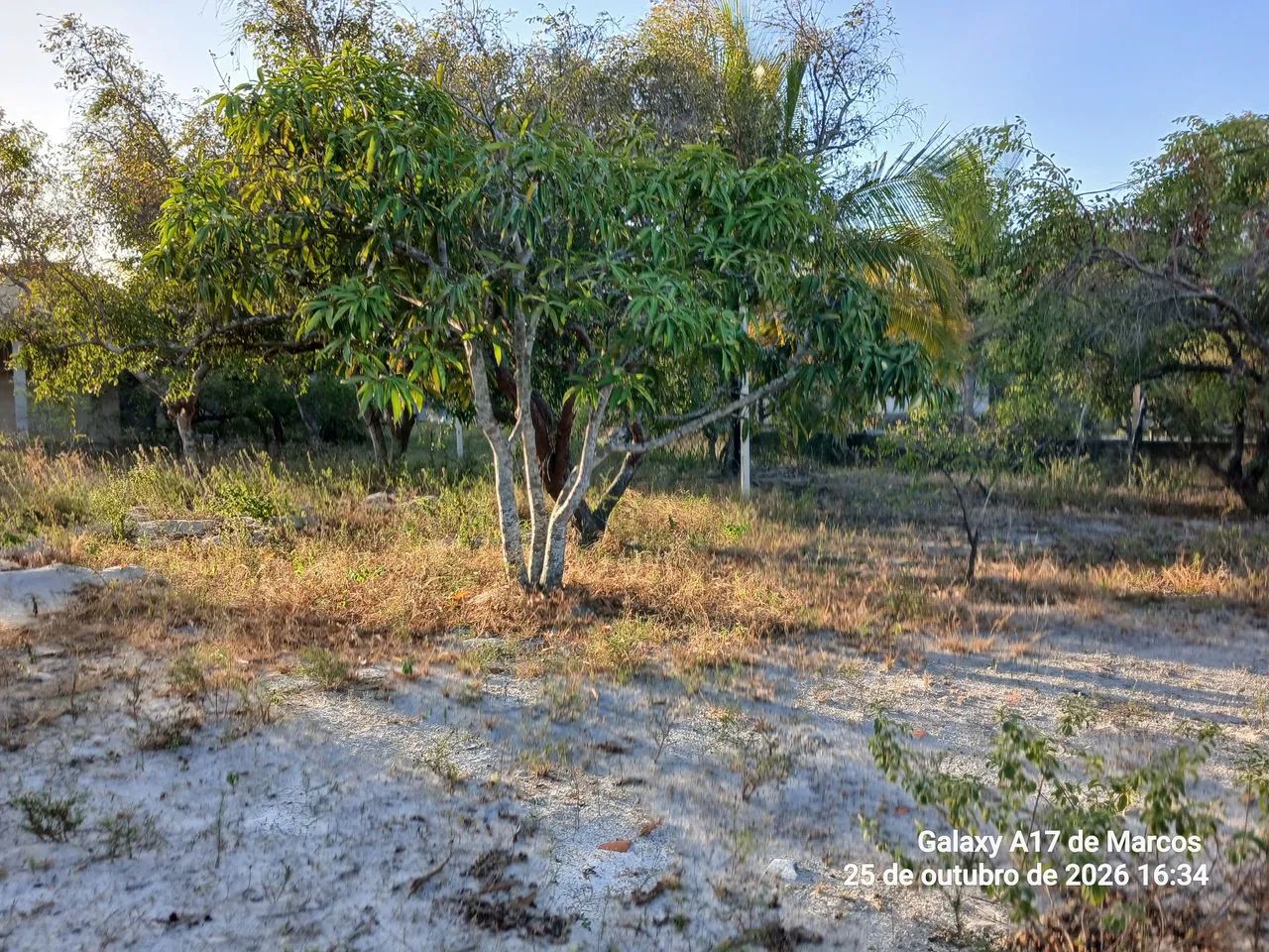 Sítio próximo a Barra dos Coqueiros  - Foto 2