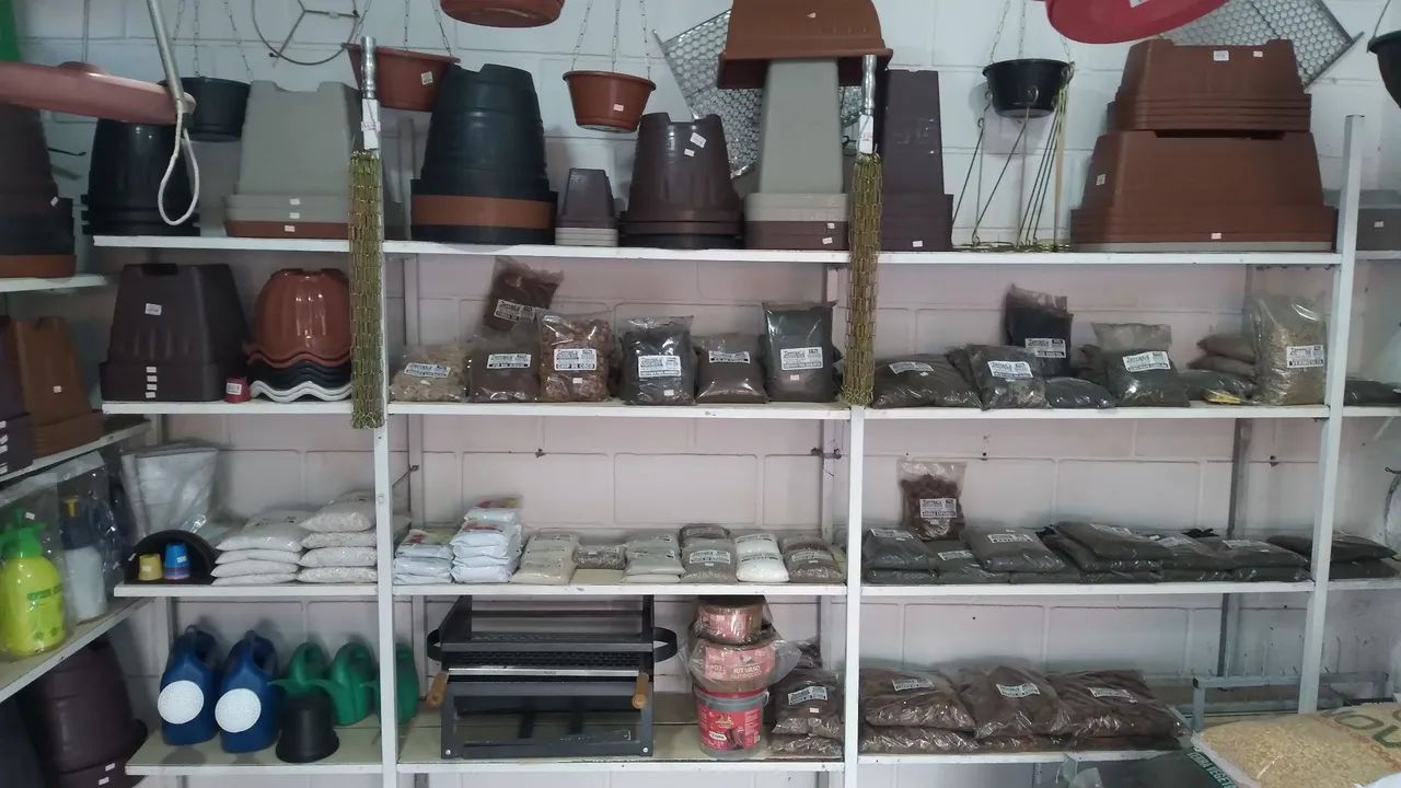 Vendo agropecuária  - Foto 2