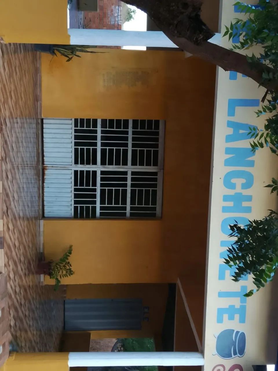 Vendo esta propriedade  - Foto 3