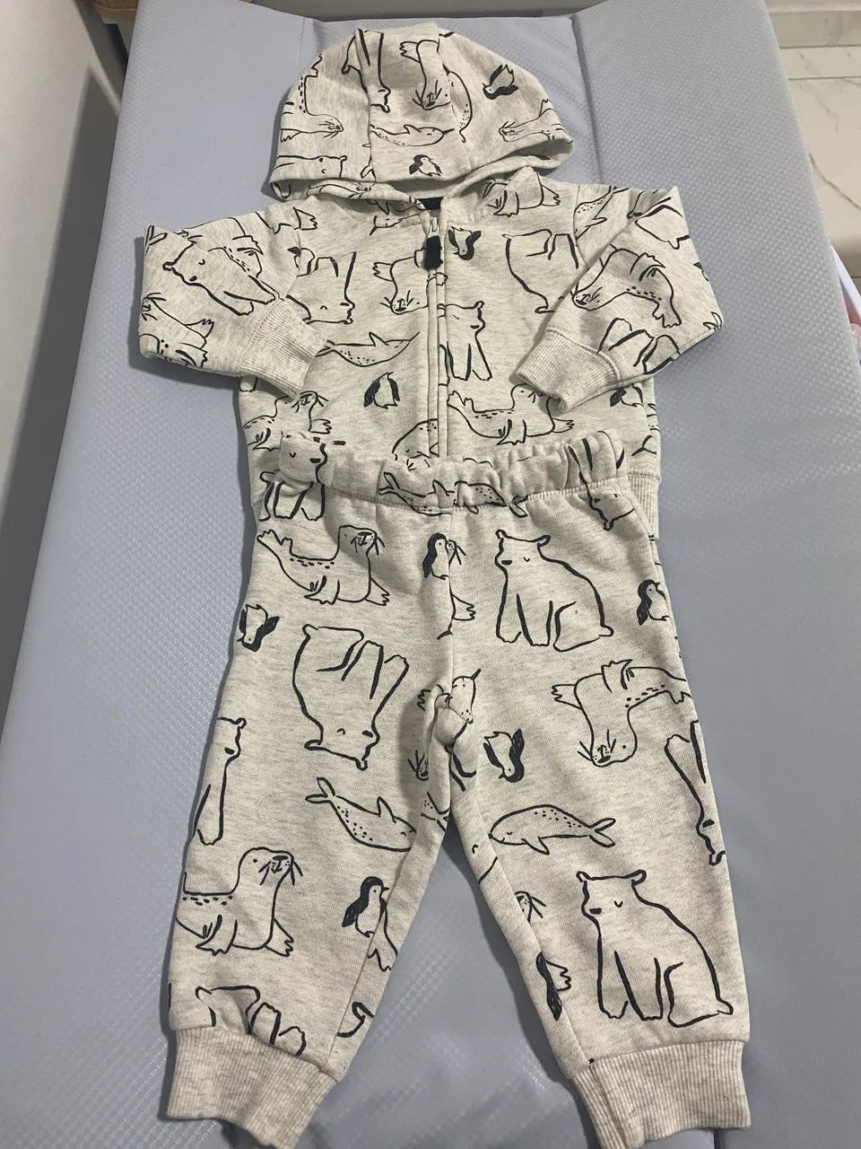Conjunto carters 