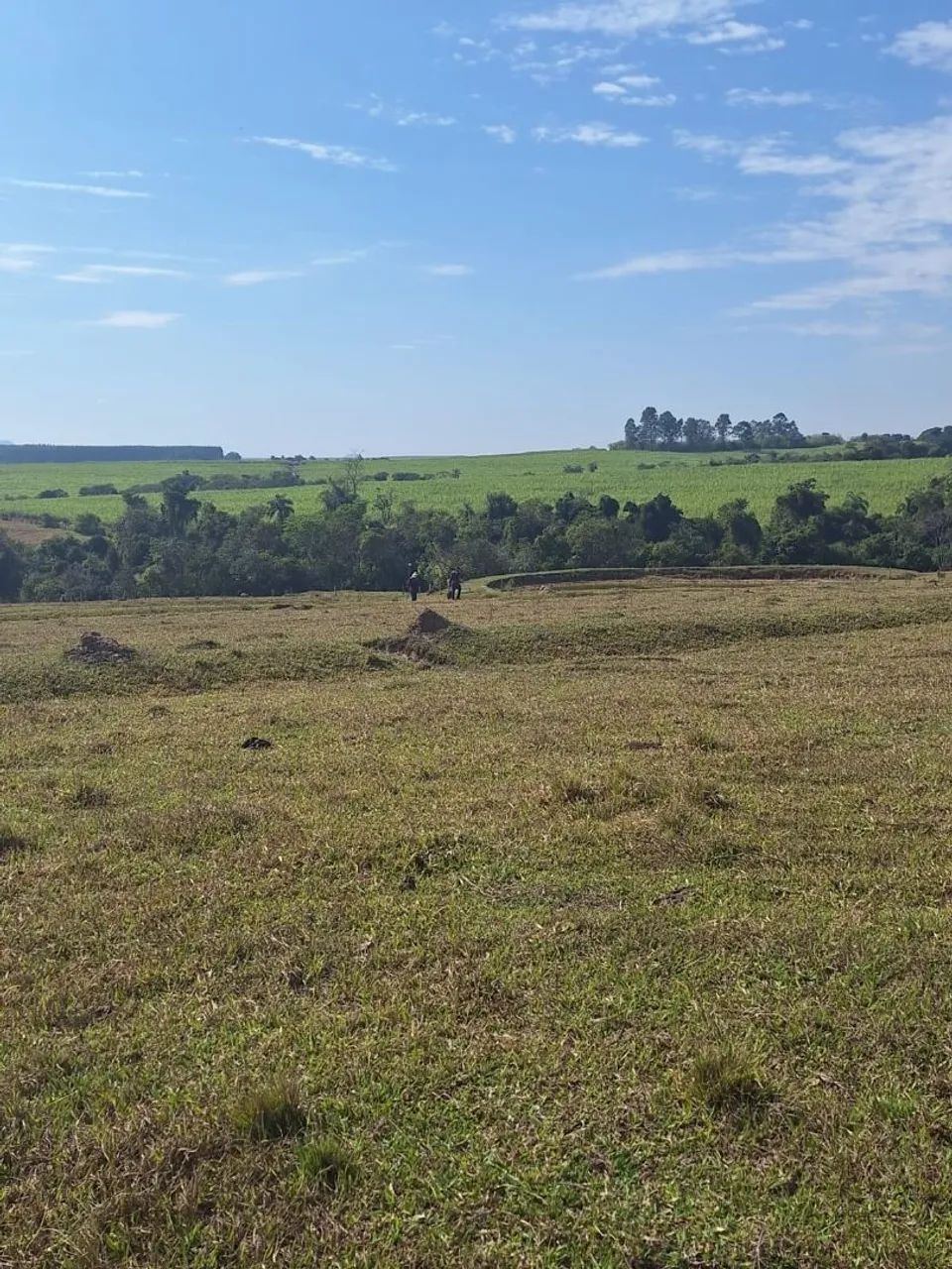 Foto - Piracicaba - Área Rural de Piracicaba