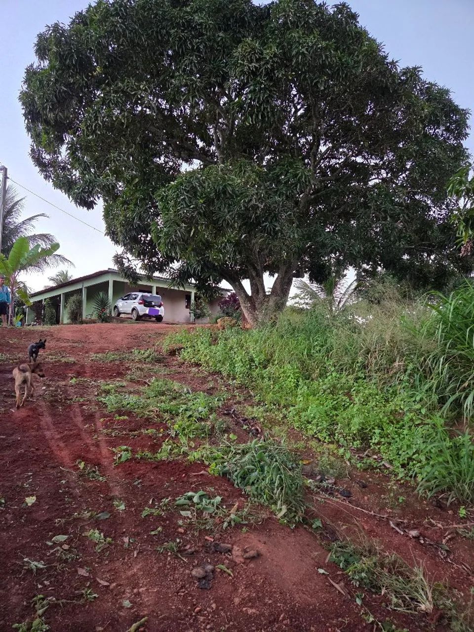Casa com terreno amplo 