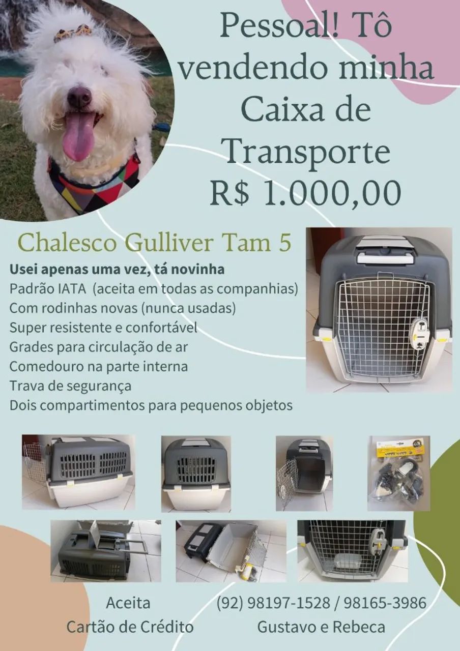 Vendo Caixa de Transporte Chalesco Gulliver 5 - Foto 2