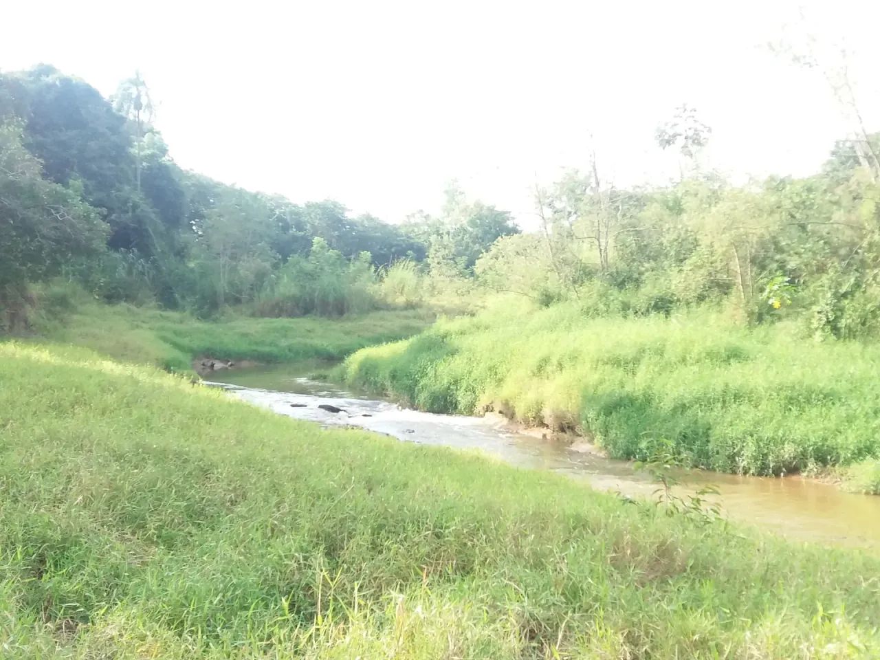 Sitio 3.87 alqueires Aguas de São Pedro SP - Foto 3