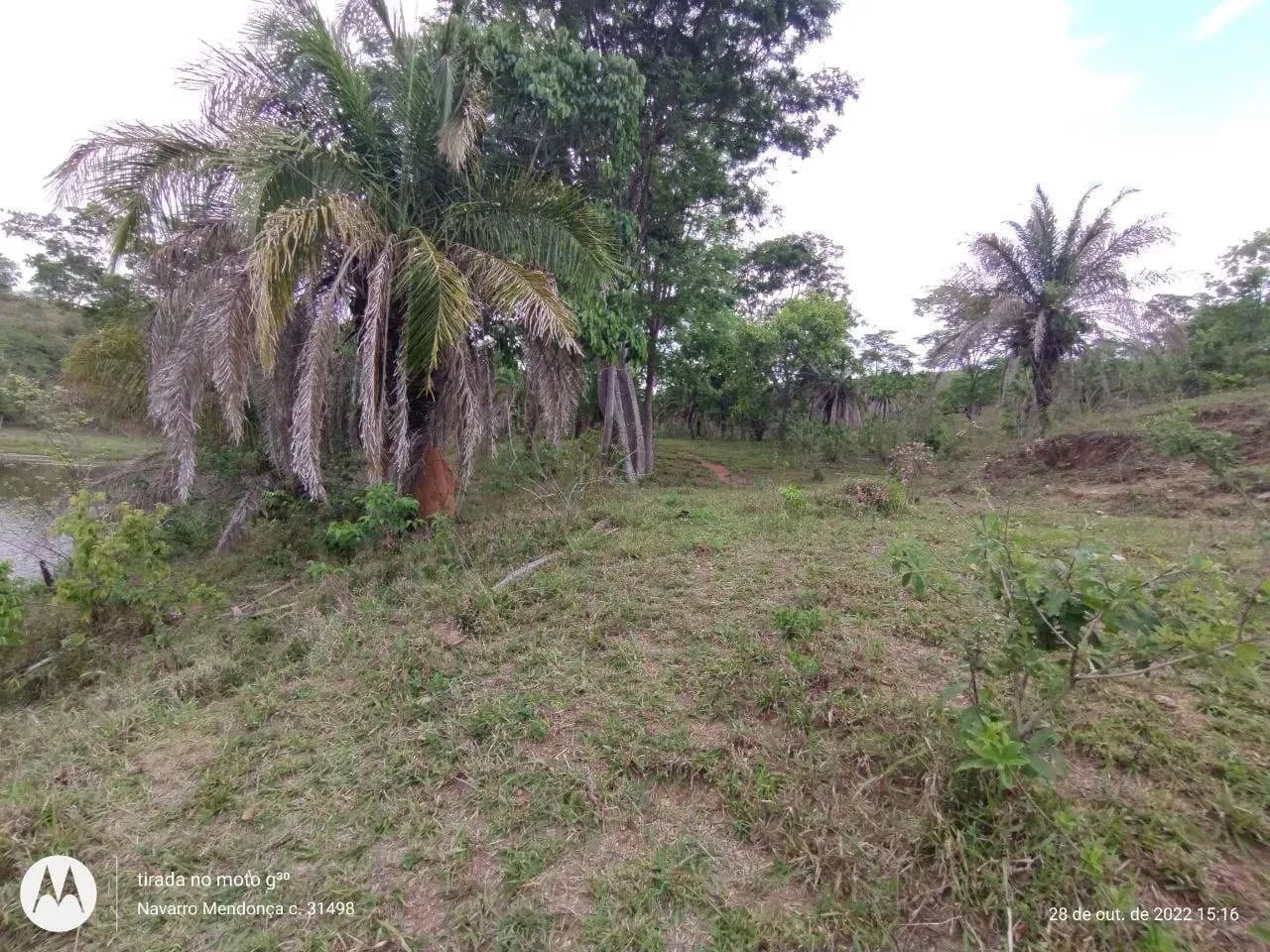 Fazenda para cria e recria de gado em Ipameri, GO - Foto 4