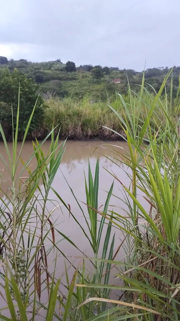 Sitio em Alagoa Nova 