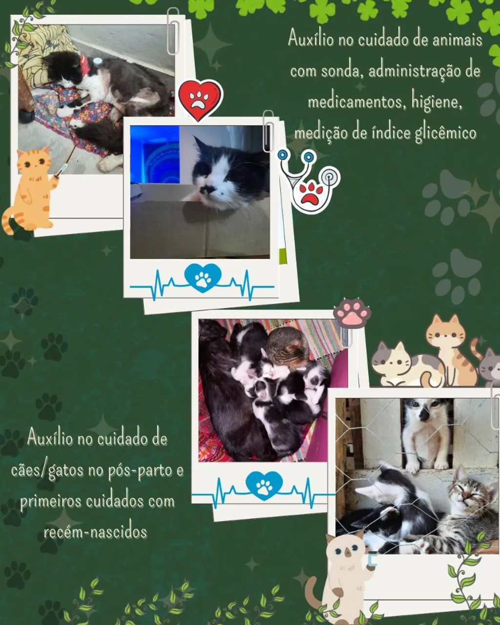 PetSitter - Foto 2