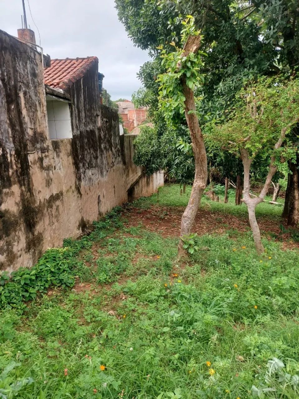 CHÁCARA NA VILA LUZO 2800 M2 - Foto 5
