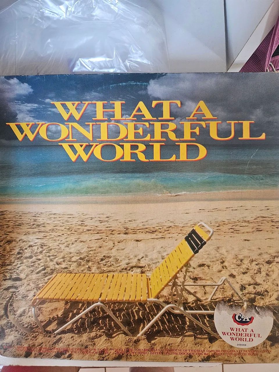 LP Vinil - What a wonderful word