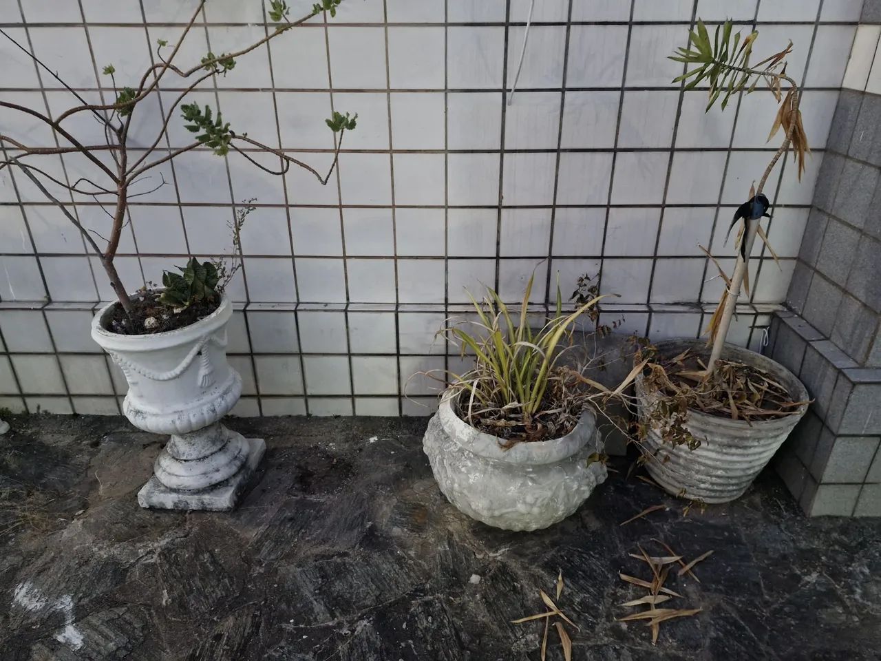 Jarros ornamentais cimento - Foto 4