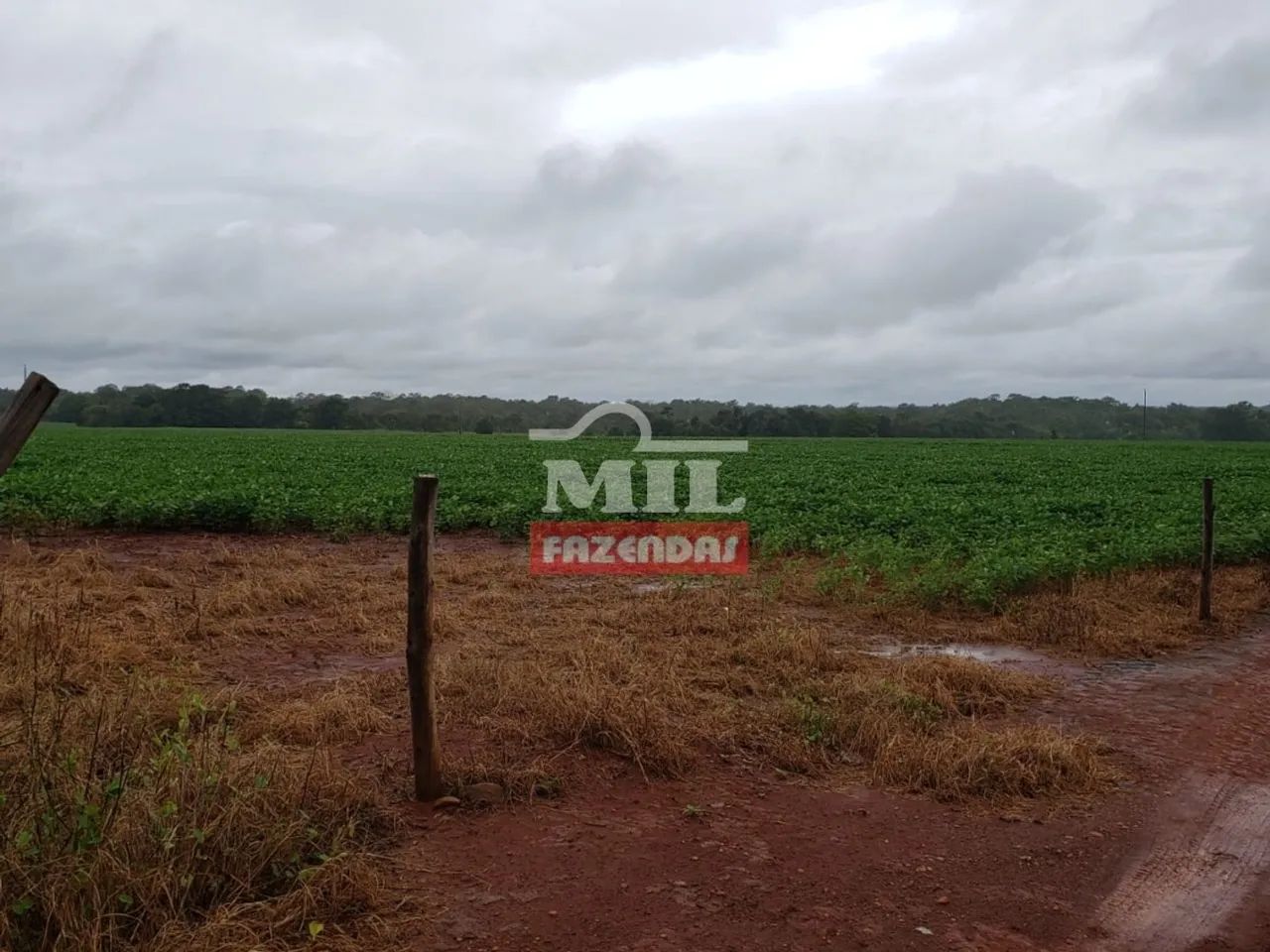 Fazenda em Araguaçu-TO - Foto 2