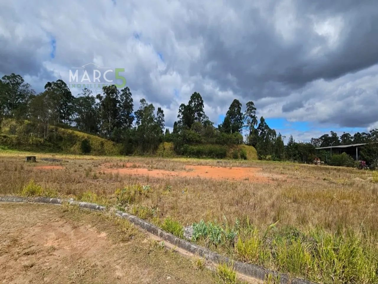 Venda - AREA - LARANJA AZEDA Aruja SP