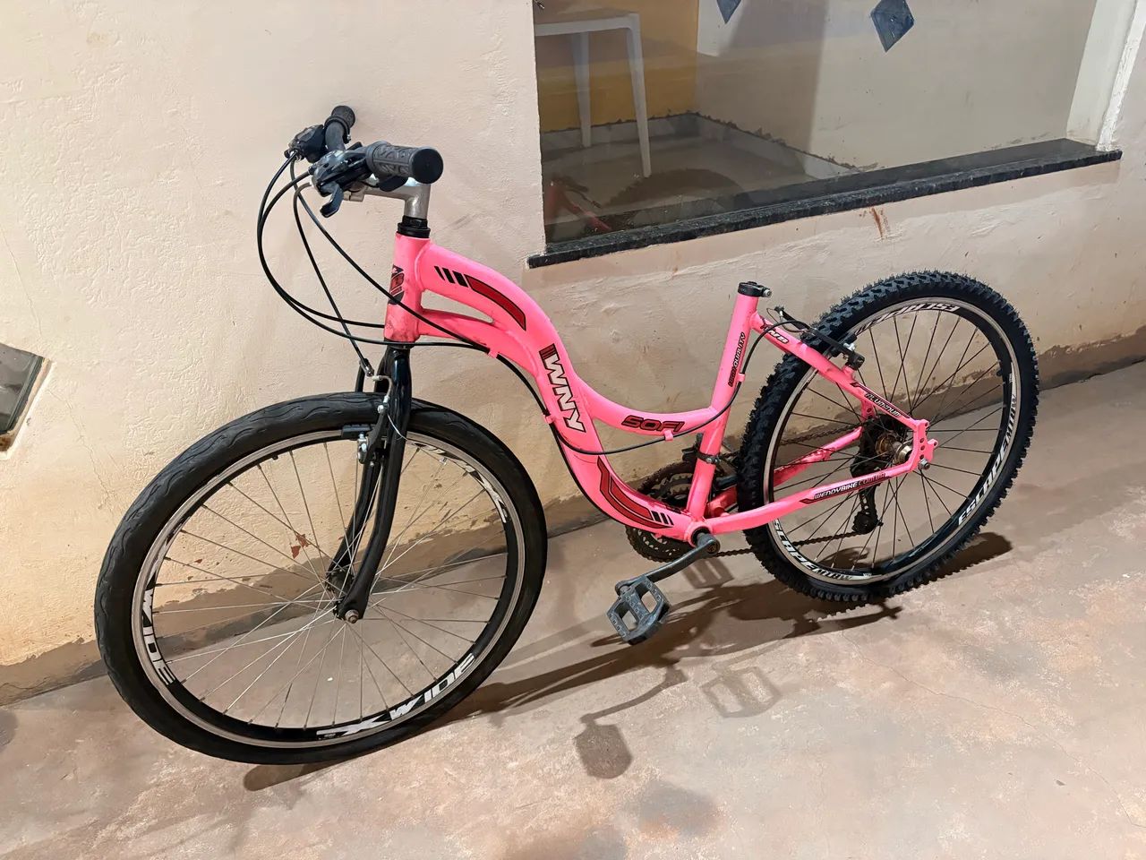 Bicicleta 
