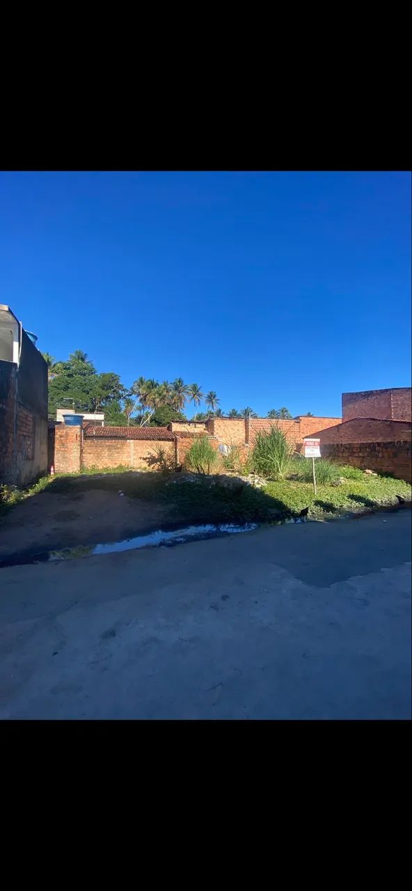 Terreno - Foto 3