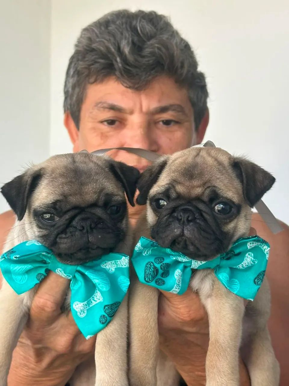 Pug - Foto 4
