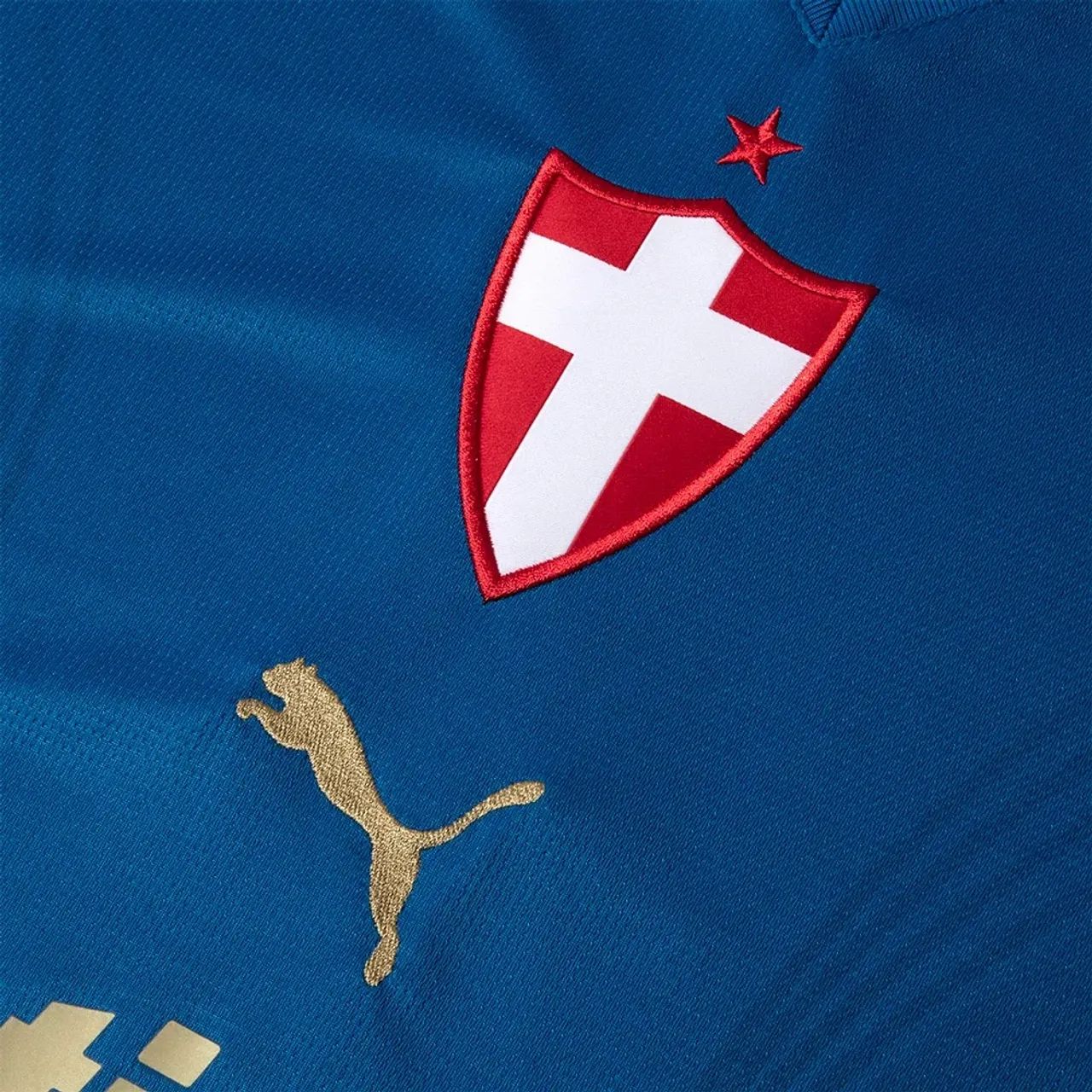 Camisa Palmeiras Puma III 26/27 Torcedor - Foto 3
