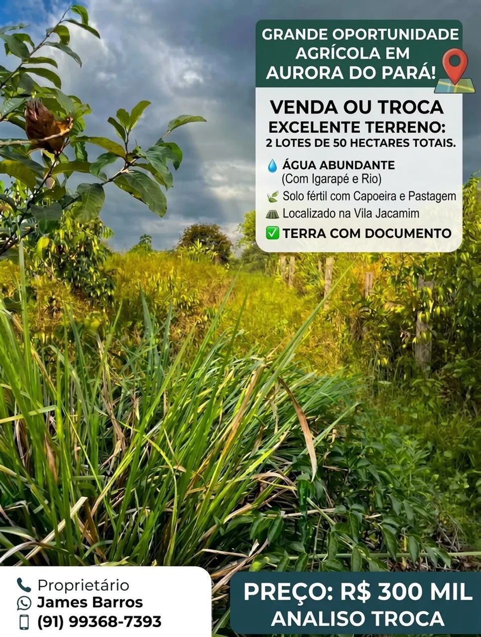 Terreno Agrícola 
