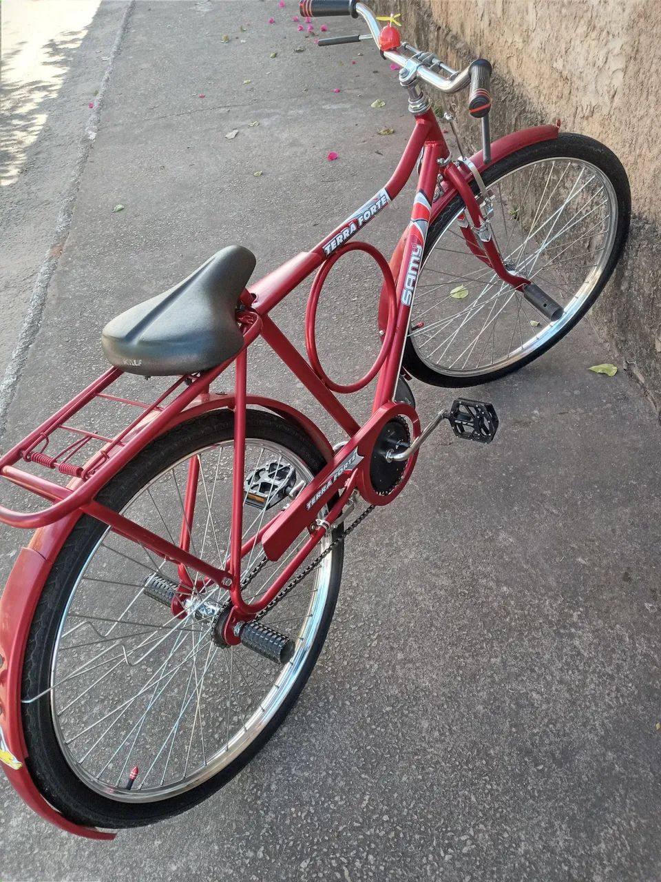 Bicicleta monárqui  - Foto 4