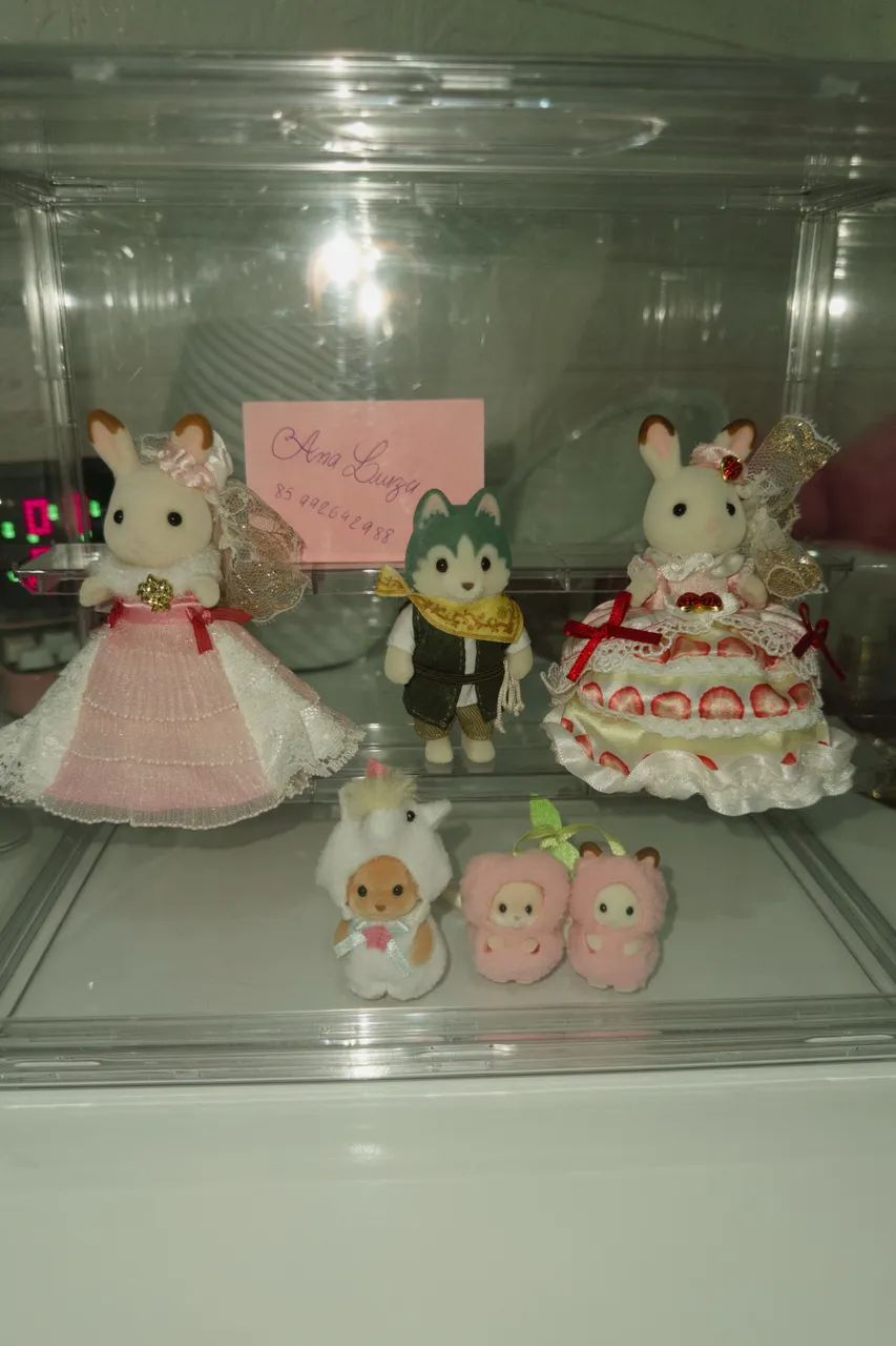 Mini coleção sylvanian + acrílico 