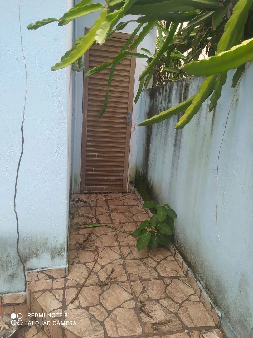 Chácara  - Foto 4
