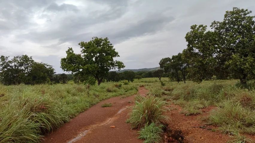 Fazenda 17 alq em Porto Nacional  - Foto 4