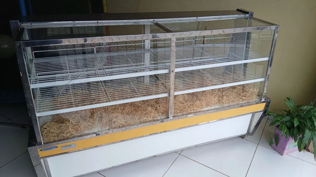 VENDE-SE VITRINE  - Foto 2
