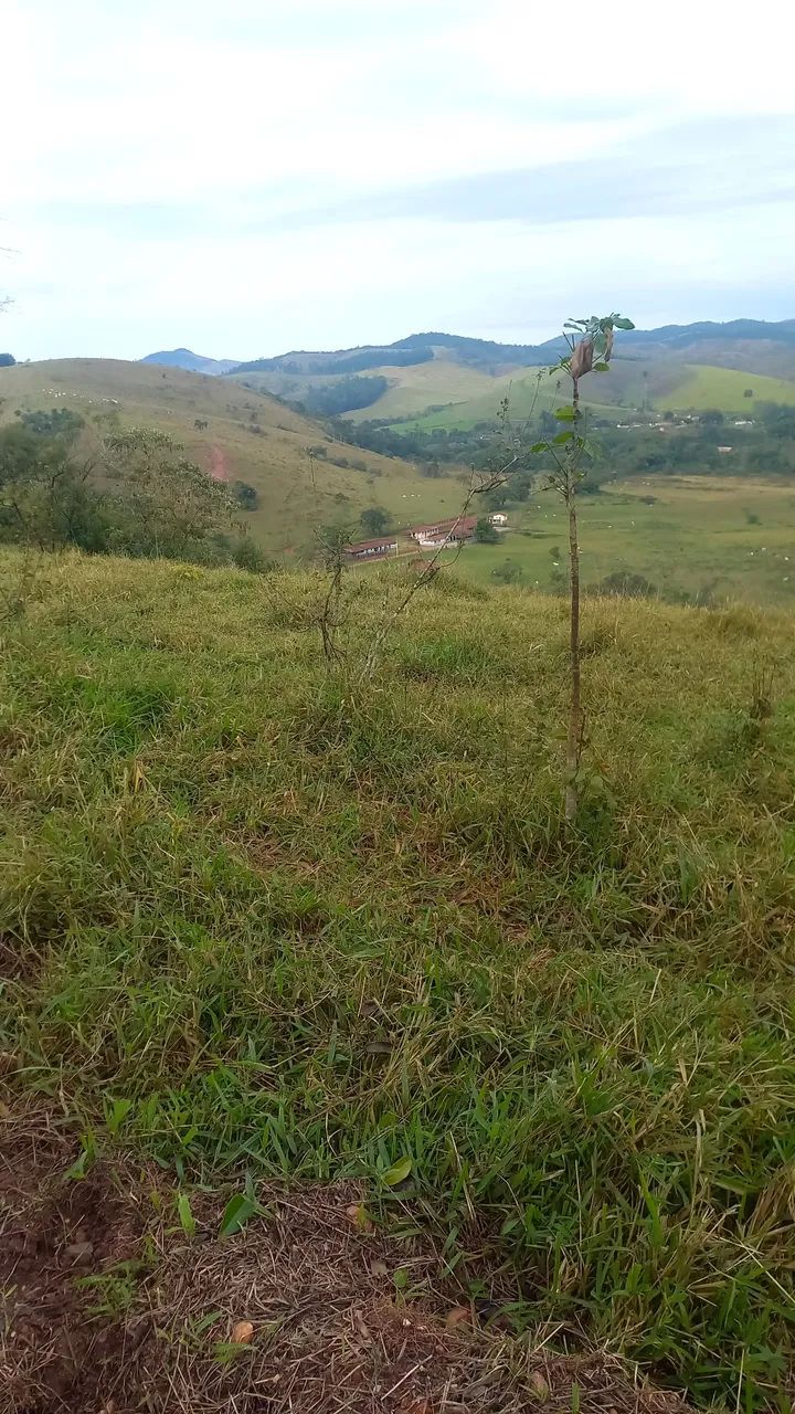 Passo CHÁCARA À VENDA - BAIRRO SERRINHA  - Foto 3