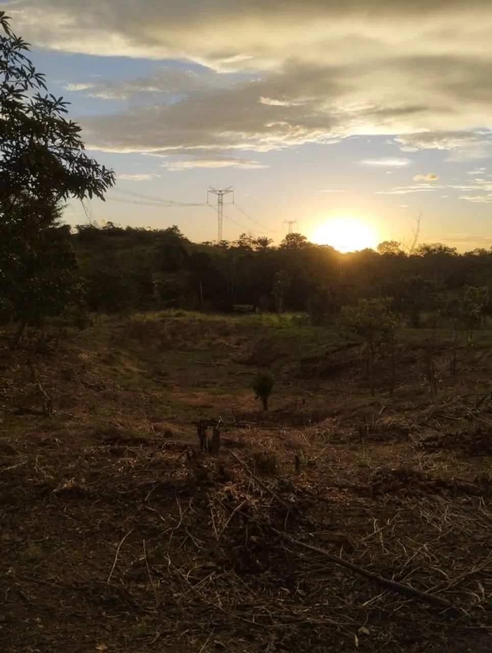 Vende-se ou troca chácara próximo a palmares II - Foto 4