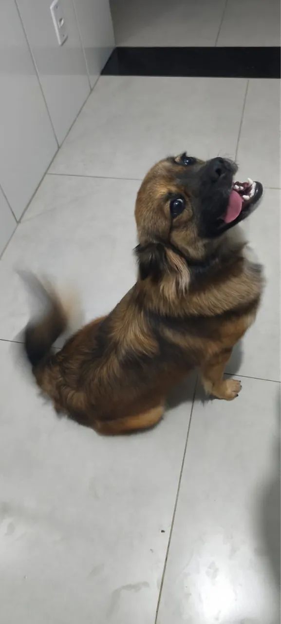 Doação 