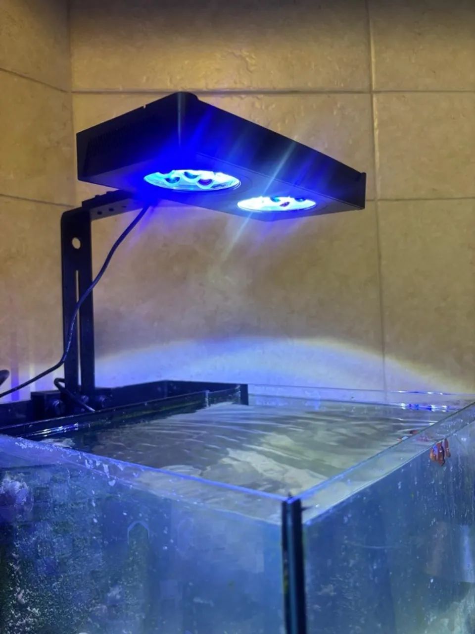 Aquário 40L Completo com Samp + Luminária Artika Ocean Tech  - Foto 3