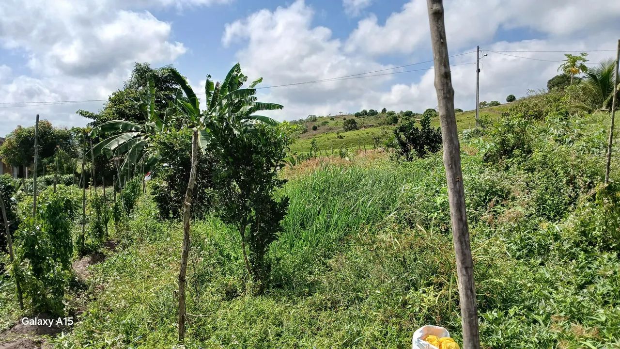 Vendo lote para Chácara R$65.000