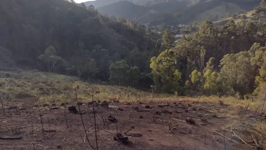 Lindo sitio de 35.000m2 no Sul de Minas!! Delfim Moreira MG - Foto 7