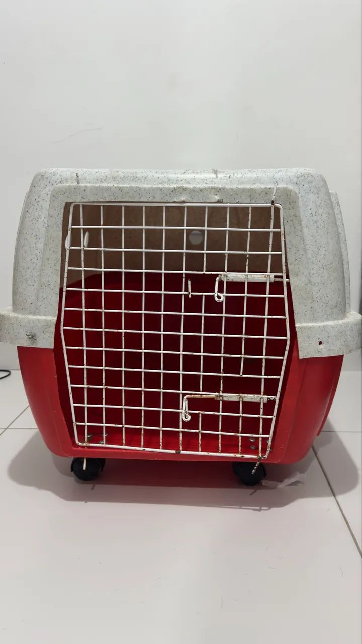 CAIXA TRANSPORTE PET 