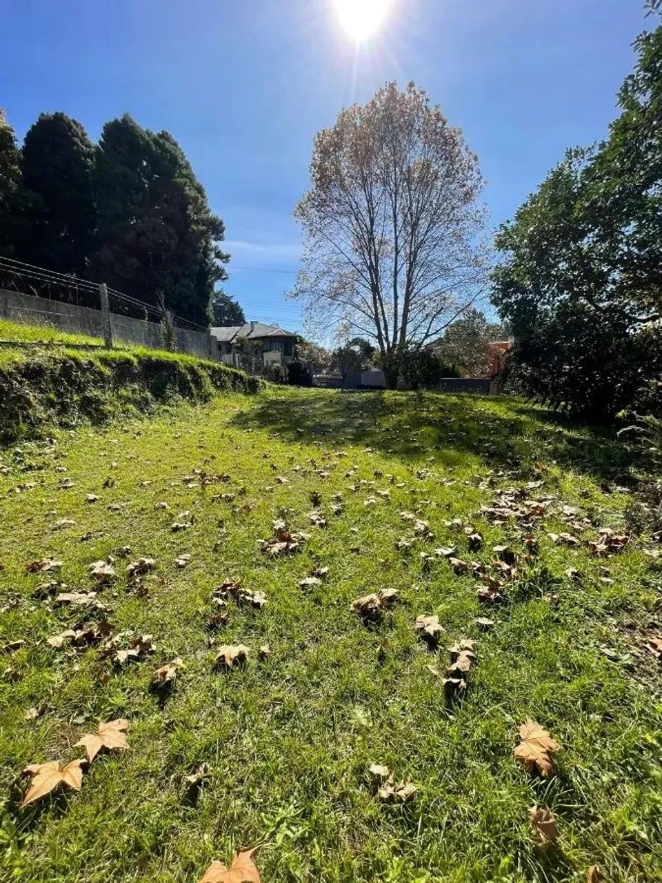 CAXIAS DO SUL - Terreno Padrão - LINHA 40 - Foto 5