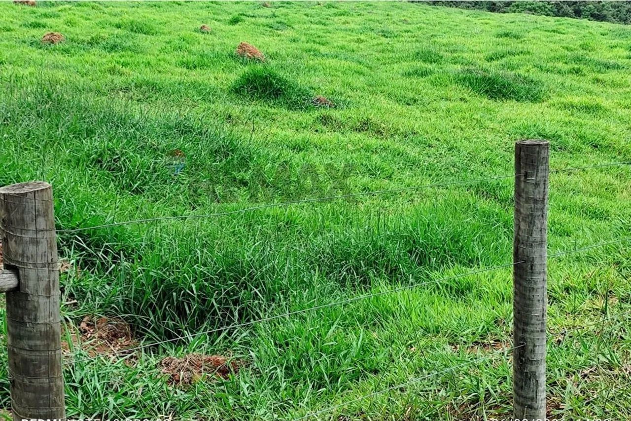 Fazenda dos Sonhos em MG: Propriedade à Venda! - Foto 3