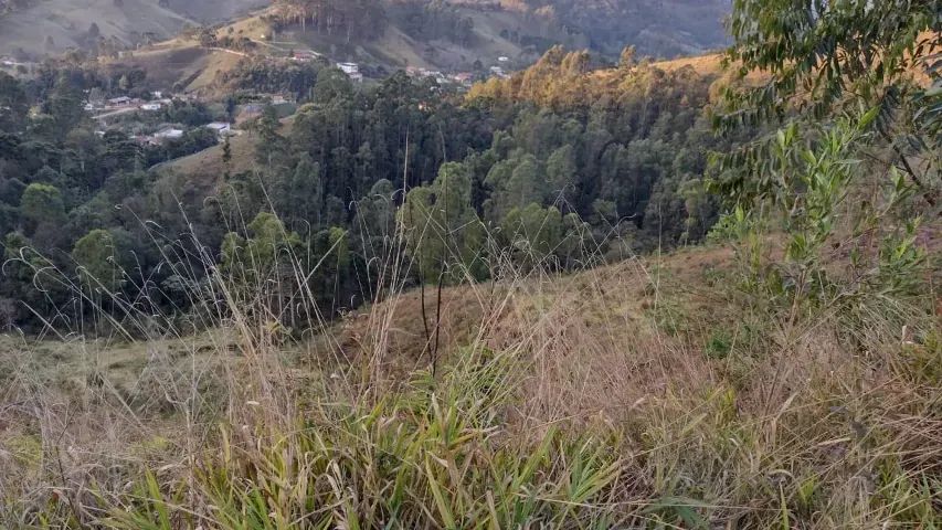 Lindo sitio de 35.000m2 no Sul de Minas!! Delfim Moreira MG - Foto 8