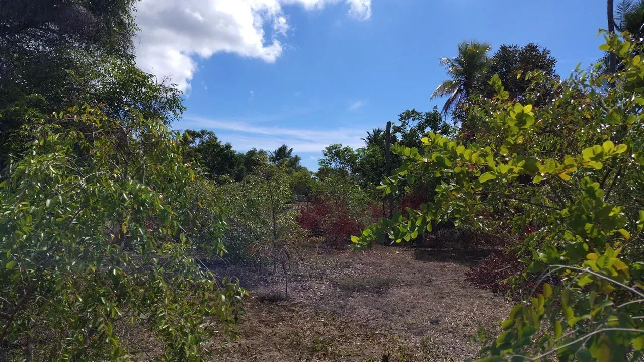 área fundo para a lagoa dos tambaquis abais no - Foto 4