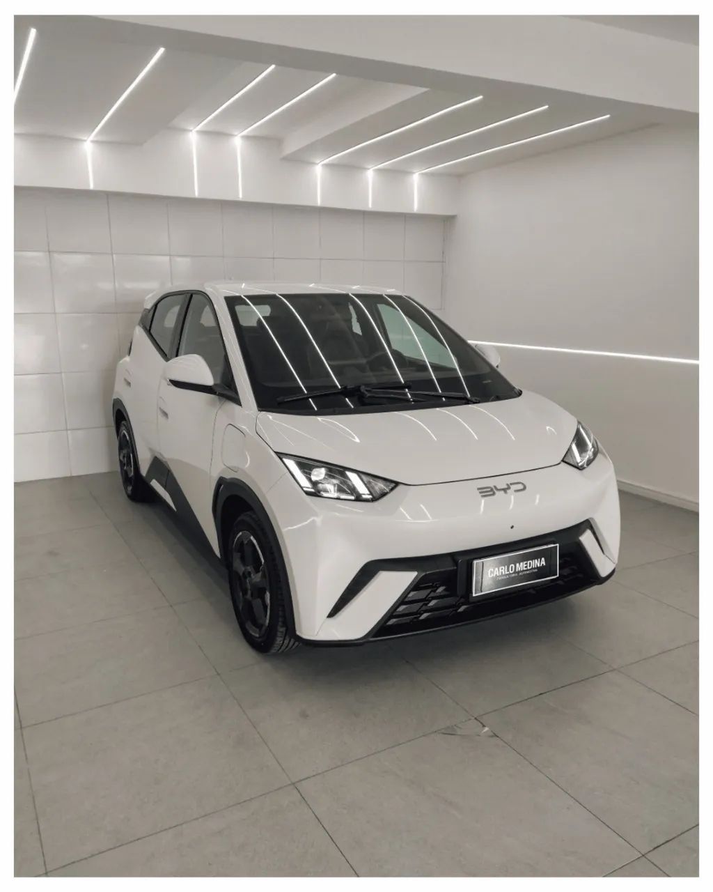 BYD Dolphin Mini (Elétrico) 2025