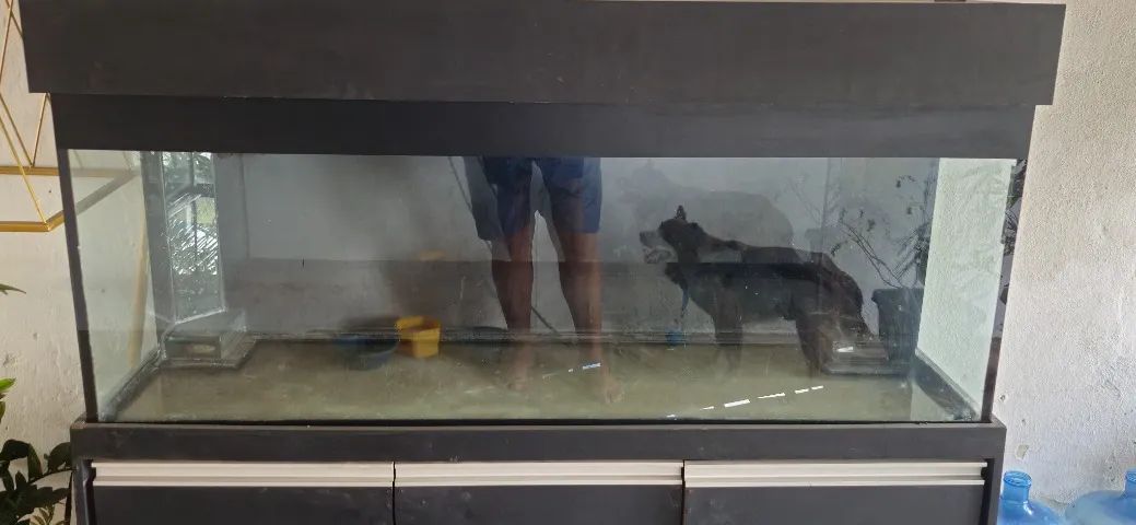 Aquário 150x50x50 com Sump