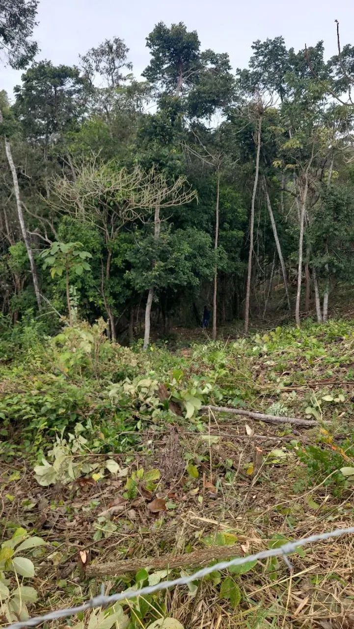 Lote  - Foto 3