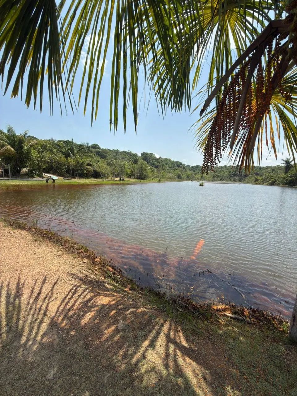 LANÇAMENTO | 2ª ETAPA - CHÁCARAS DA FAZENDA ? - Foto 4