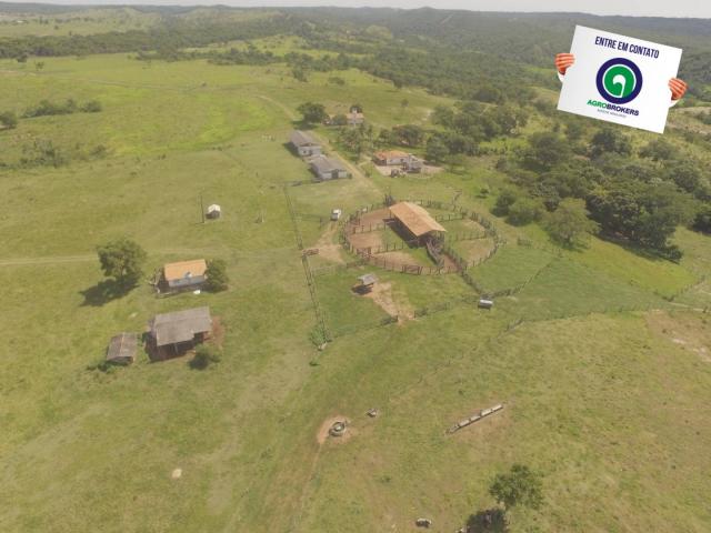 Fazenda 970 ha na beira do asfalto estrada de cáceres