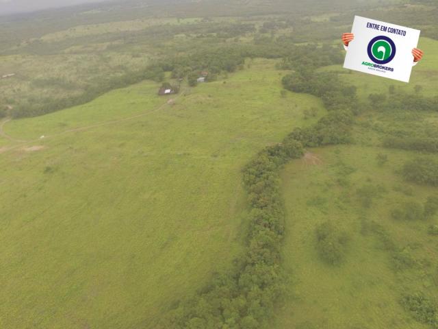 Fazenda 700 ha região do manso - Foto 12