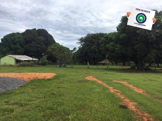 Fazenda 1600 ha no manso