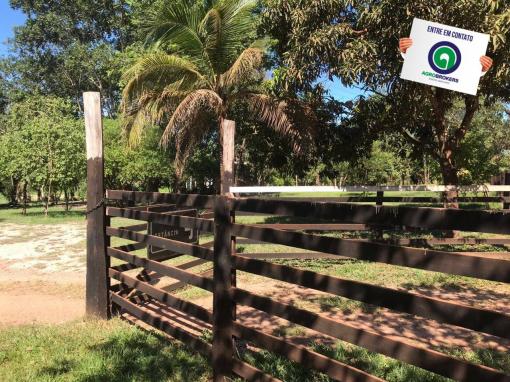 Sítio 28,7 ha no cinturão verde - Foto 16