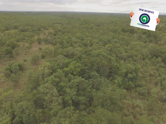 Fazenda 200 ha na beira do asfalto - Foto 6