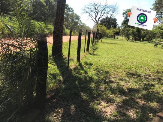 Sítio 28,7 ha no cinturão verde - Foto 19