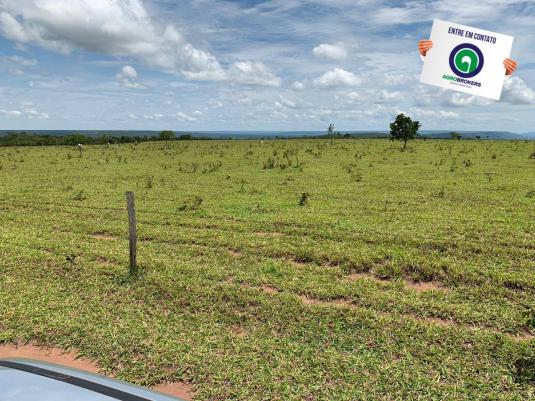 Fazenda 100 ha região de bom jardim