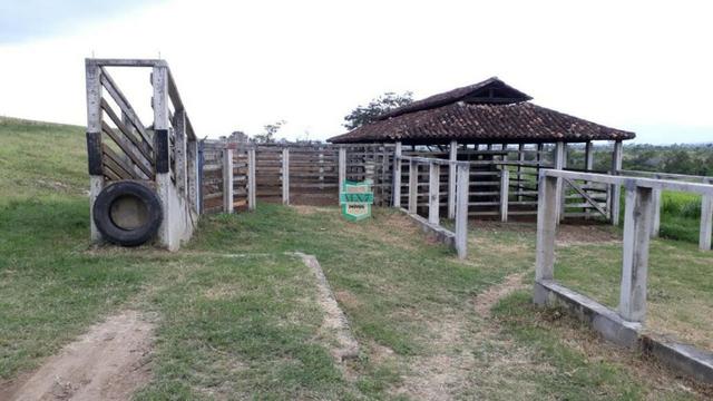 Itaju do Colônia. Fazenda pecuária de 1.200 Hectares - Foto 15