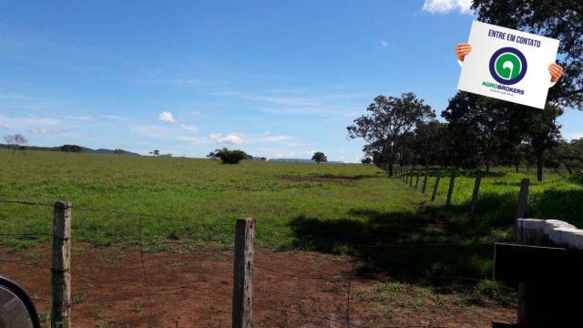 Fazenda 1.650 ha sentido caceres - Foto 13